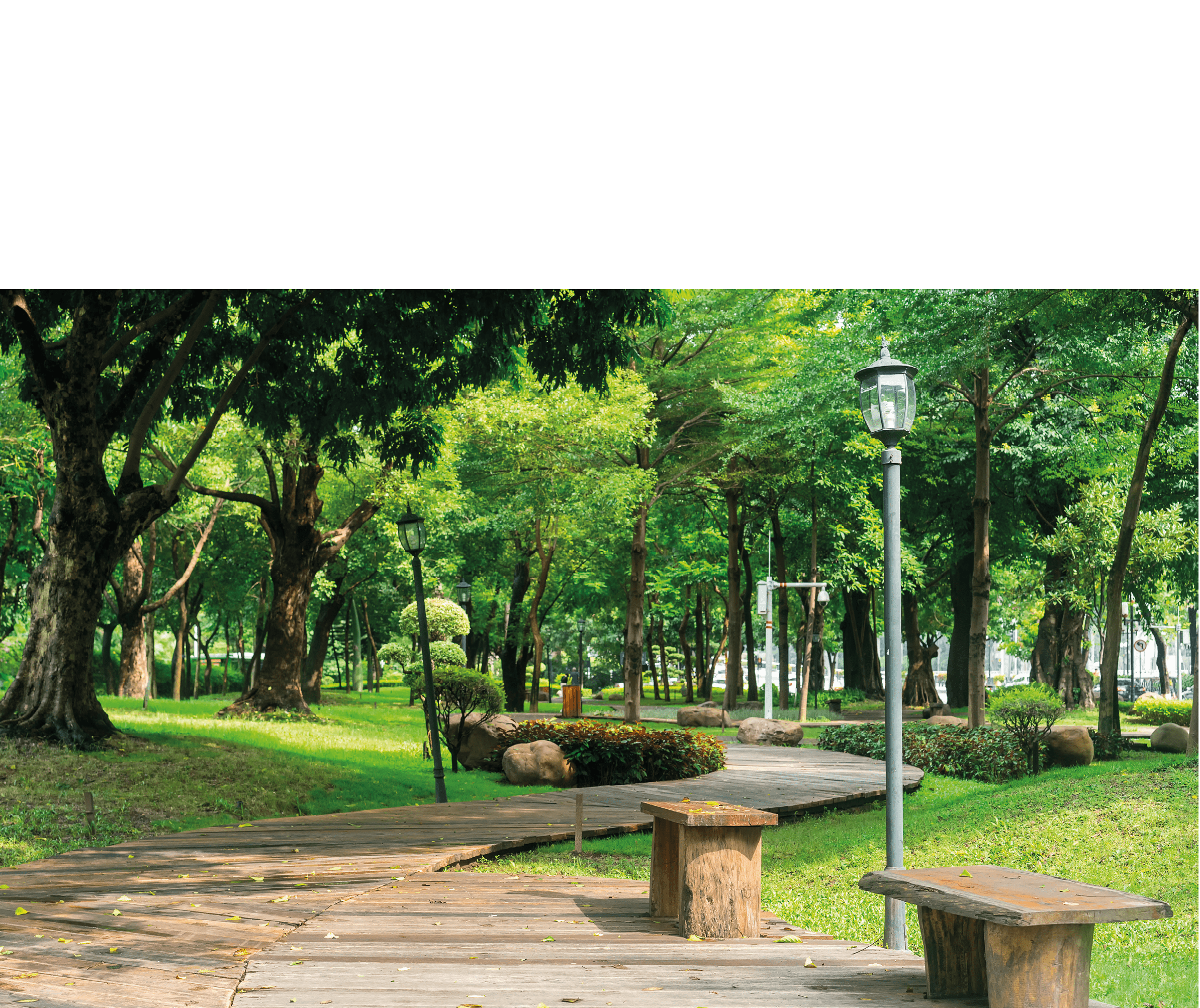 wood chairs in the park