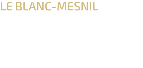 Le Blanc Mesnil Le dynamisme urbain en pleine nature